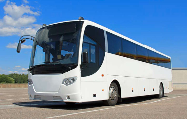 vignette_bus